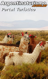 Argentina Turismo